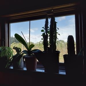 Meet your Posher, Ansel